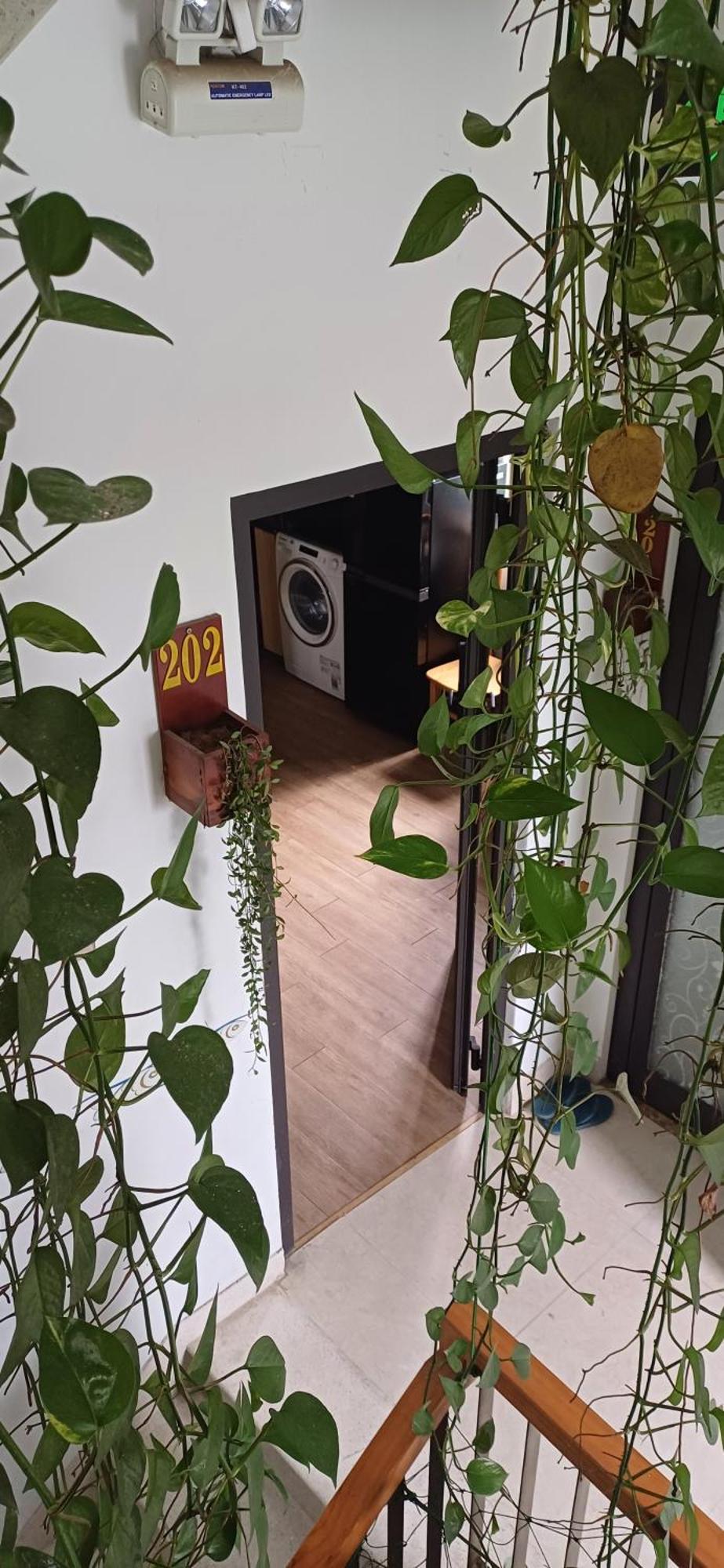 Seashine Apartment Дананг Номер фото